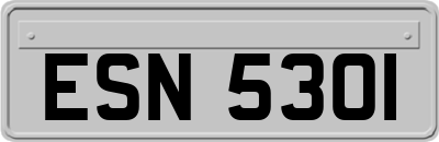 ESN5301