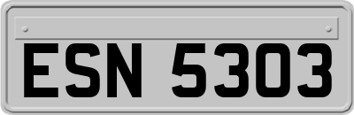 ESN5303