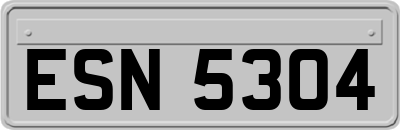 ESN5304