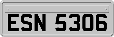 ESN5306