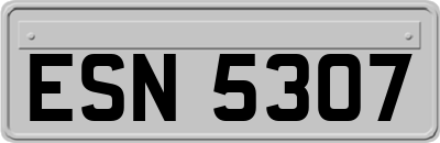 ESN5307
