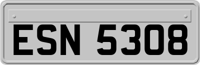 ESN5308