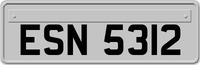 ESN5312