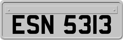 ESN5313