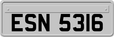ESN5316