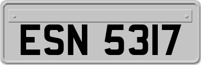 ESN5317