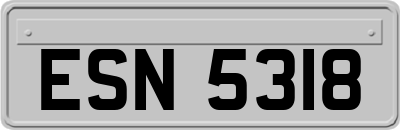 ESN5318