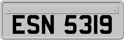 ESN5319