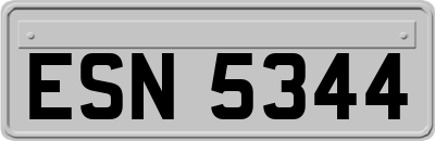 ESN5344