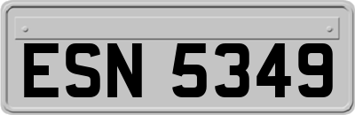 ESN5349