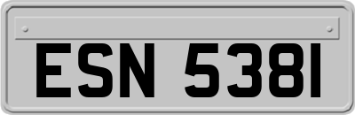 ESN5381