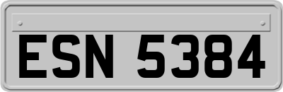 ESN5384