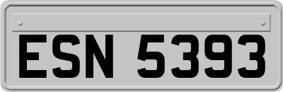 ESN5393
