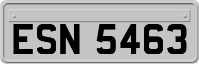 ESN5463