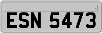 ESN5473