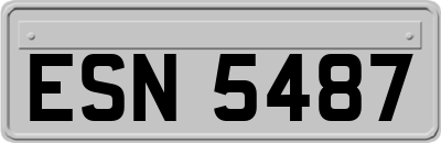 ESN5487