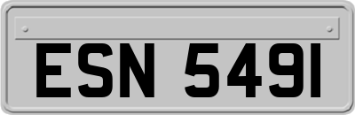 ESN5491