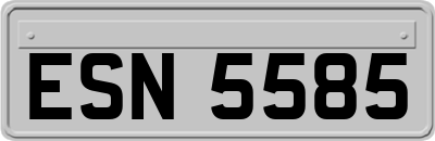 ESN5585