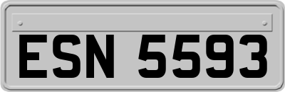 ESN5593