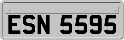 ESN5595
