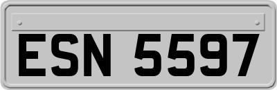 ESN5597