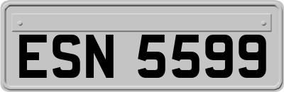 ESN5599