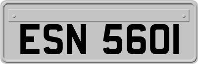 ESN5601