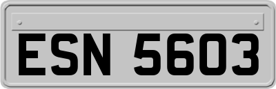 ESN5603