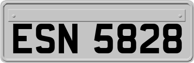 ESN5828
