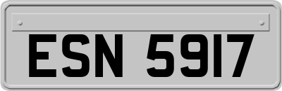 ESN5917
