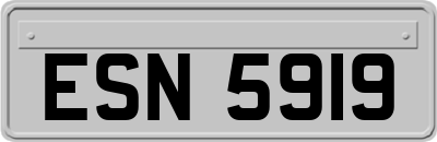 ESN5919