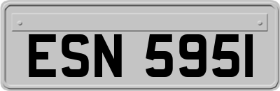 ESN5951