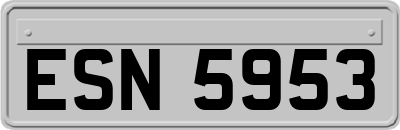 ESN5953