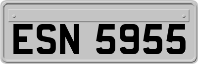 ESN5955