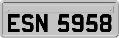 ESN5958