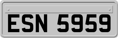 ESN5959