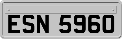 ESN5960