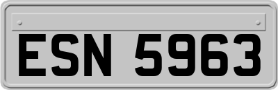 ESN5963