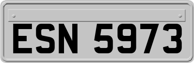 ESN5973