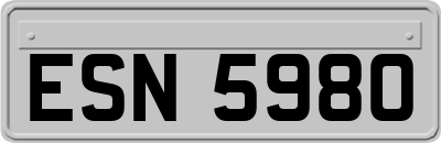 ESN5980