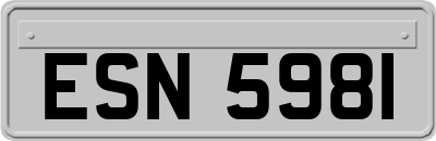 ESN5981