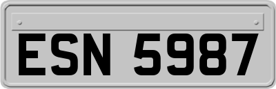 ESN5987