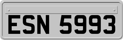 ESN5993