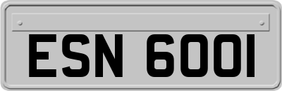 ESN6001