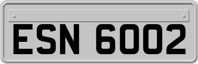 ESN6002