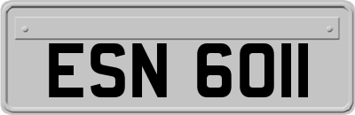 ESN6011