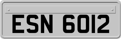 ESN6012