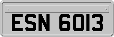 ESN6013