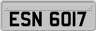 ESN6017