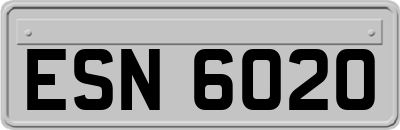 ESN6020